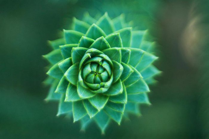 Writing a Graphic Novel or Comic Book Script - MERAKI