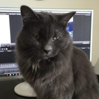 Baxter